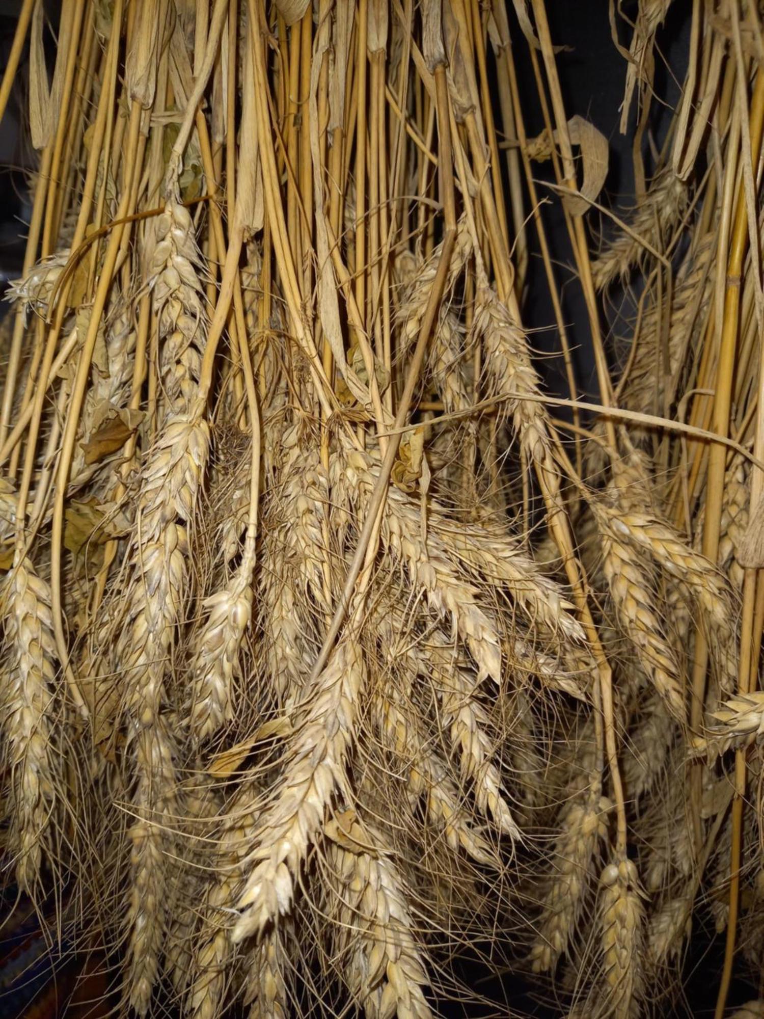 Fruehstueckspension Muellergut Sankt Martin bei Lofer Exterior foto